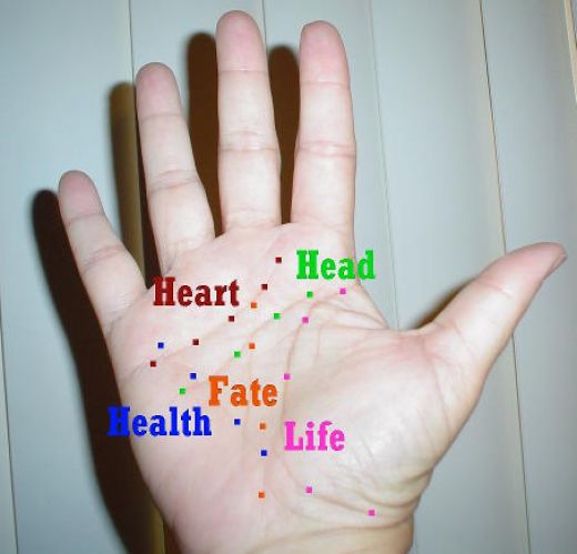 Palmistry Liines